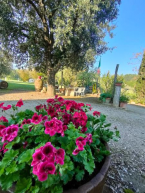 Azienda Agricola Polveraia San Gimignano